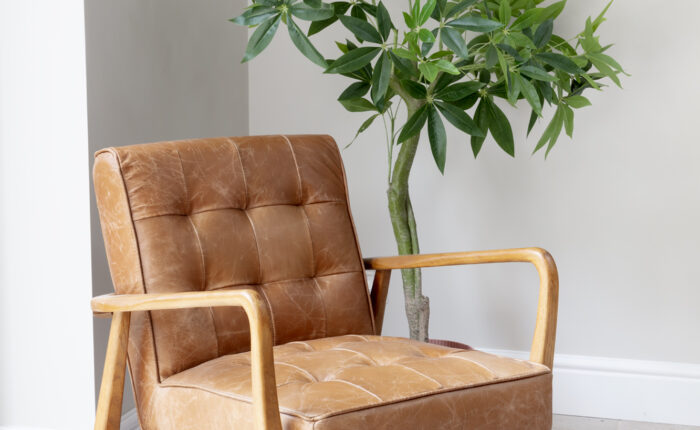 neurodivergent-friendly-office-spaces-dorset. Neurodivergent waiting room in a commercial office. Plant, soft leather chair and calming green rug.